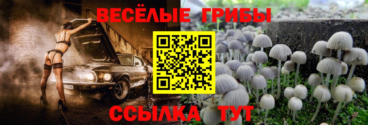 магазин    Вход с VPN  Галлюциногенные грибы Psilocybe  Бузулук  Галлюциногенные грибы ЛСД 